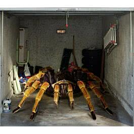 Scheurich Garagentorplane Spinne, für Schwing- und Sektionaltore