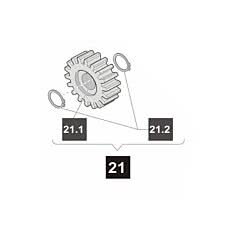 21. Sommer Zahnrad für SM 40 T und SM 40, incl. Seegerring, starglider 300 E (Ersatzteile Torantriebe)
