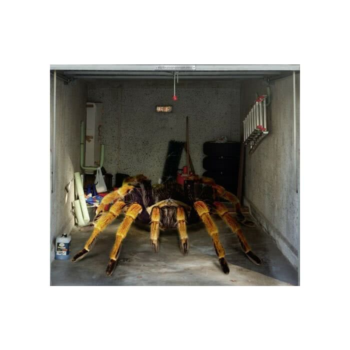 Scheurich Garagentorplane Spinne, für Schwing- und Sektionaltore