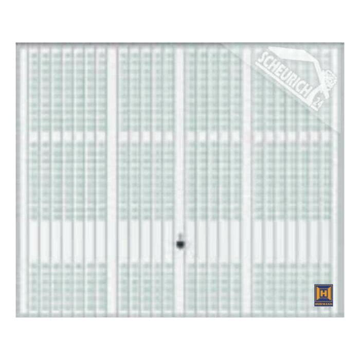 Hörmann Berry Schwingtor N80 Motiv 914 - glatte Oberfläche