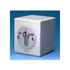 ORION AP1-2R Schlüsselschalter zweiseitiger Rastkontakt