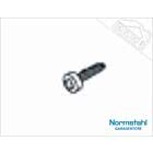Spax-Senkkopfschraube, M 4 x 60 für Normstahl Deckensektionaltor DST 9 