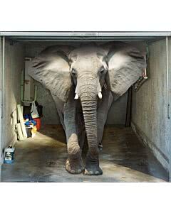 Garagentorplane Moving Elephant