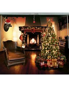 Garagentorplane Christmas Room