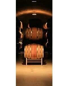Türplane Wine Cellar 3