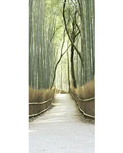 Türplane Bamboo Forest
