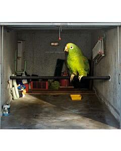 Garagentorplane Vogel