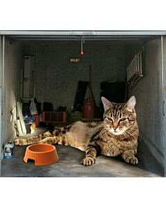 Garagentorplane Cat