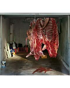 Garagentorplane Schweinehälften