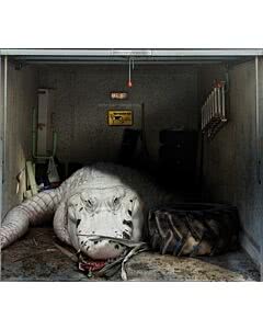 Garagentorplane Alligator
