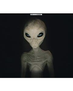 Garagentorplane Alien
