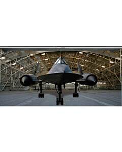 Garagentorplane Blackbird
