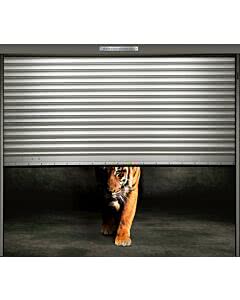 Garagetorplane Tiger