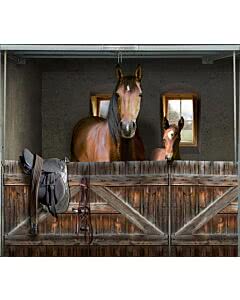 Garagentorplane Pferde Box 2