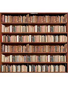 Garagentorplane Bücherregal