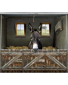 Garagentorplane Esel