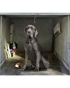 Garagentorplane Dogge