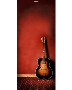 Türplane Guitar Room