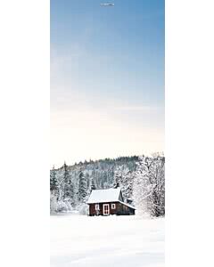 Türplane Winter