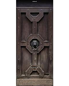 Türplane Dark old door