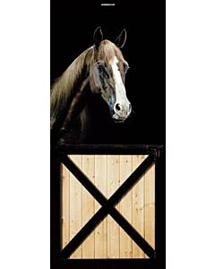 Türplane Brown Horse