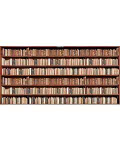 Garagentorplane Bücherregal