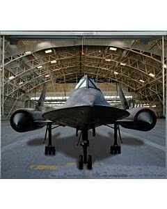 Garagentorplane Blackbird