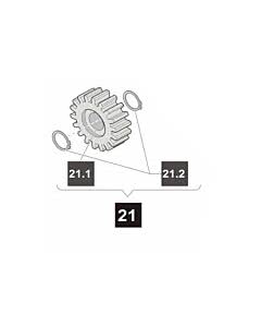 21. Sommer Zahnrad für SM 40 T und SM 40, incl. Seegerring, starglider 300 E (Ersatzteile Torantriebe)