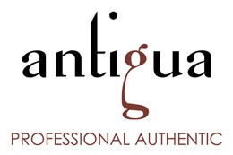 Professional authentic Professional authentic